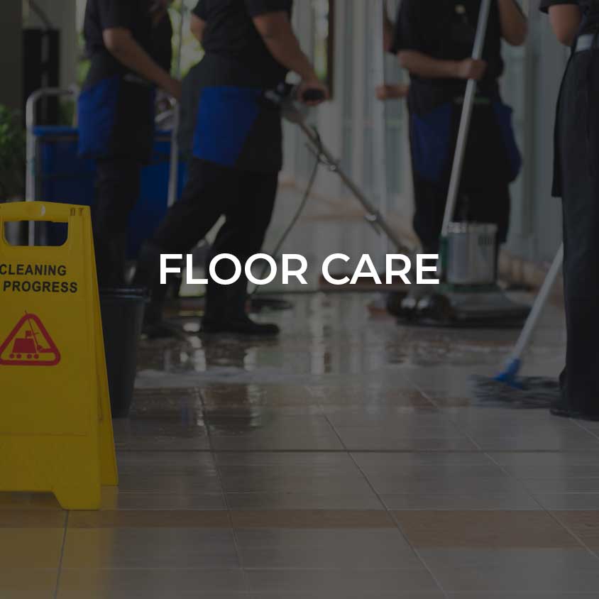 Floor Care - Link
