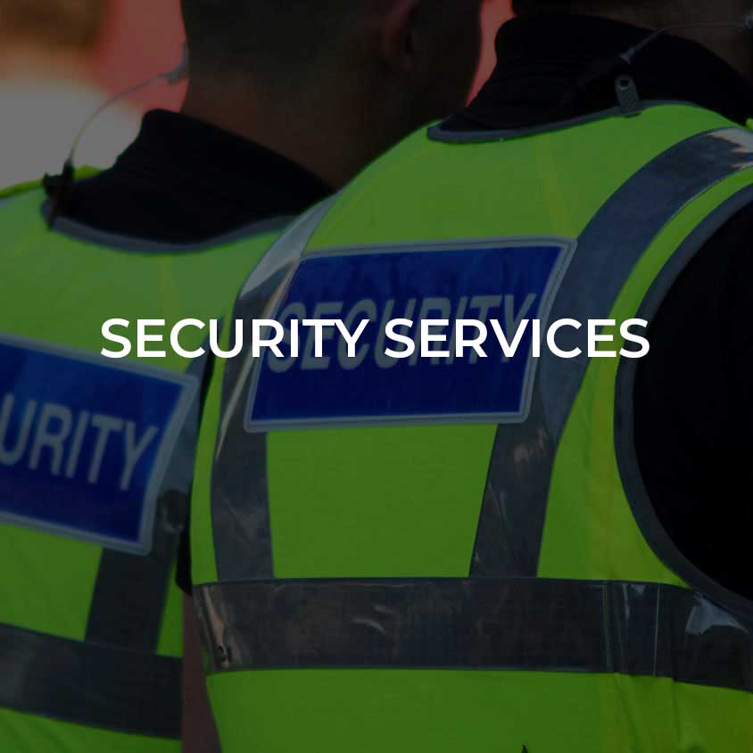 Security Services - Link