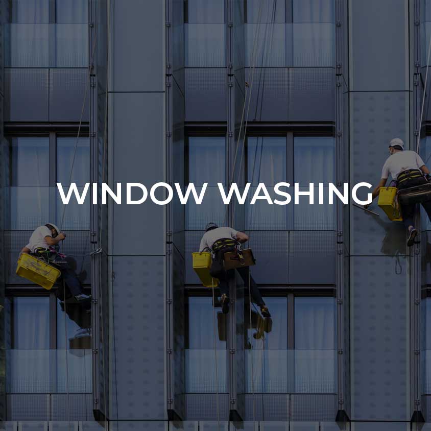 Window Washing - Link